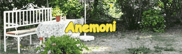 Anemone, Pelekas Anemone, Pelekas
