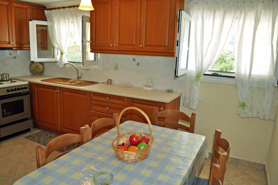 APARTMENT - kitchen