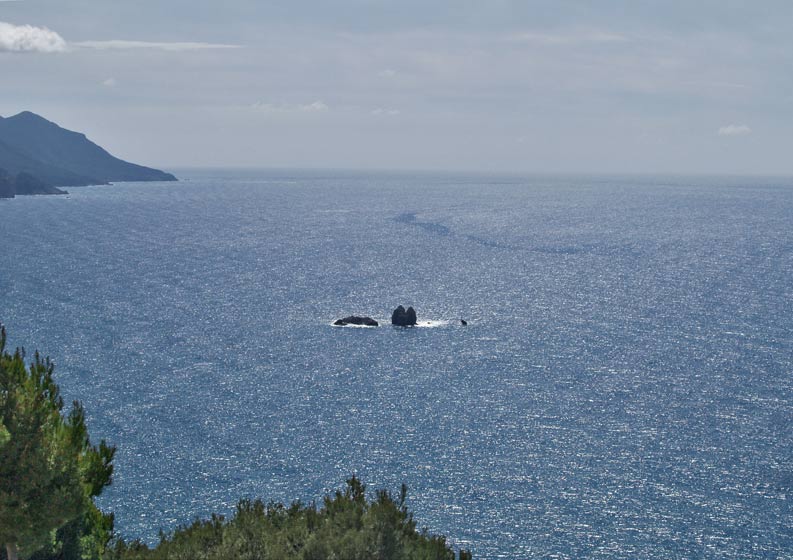 Kontogialos Pool Apartments- sea view