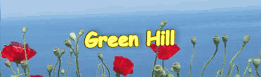 Green Hill Apartments