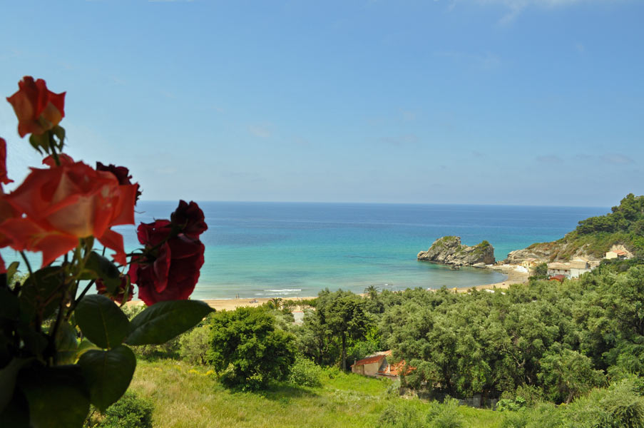 House Fotini - Pelekas Beach, Corfu