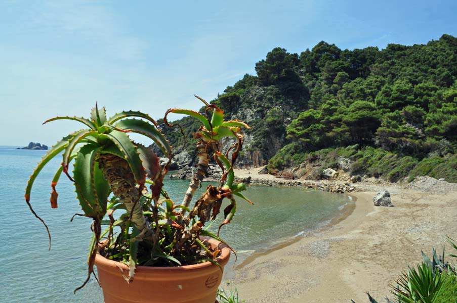 Yaliskari Beach and pine forest