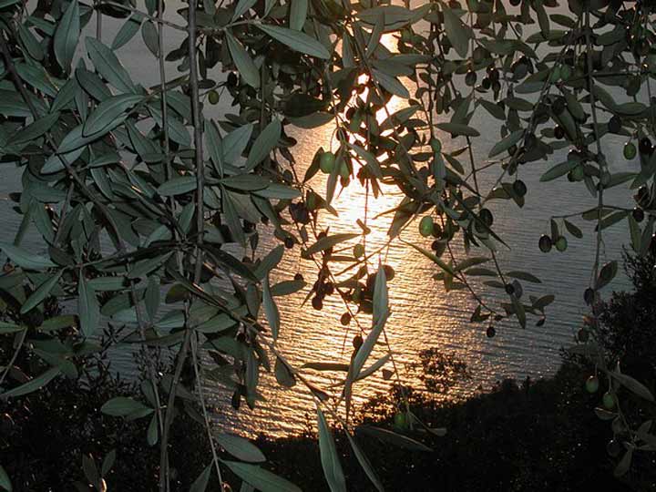 Kontogialos Pool Apartments - sunset